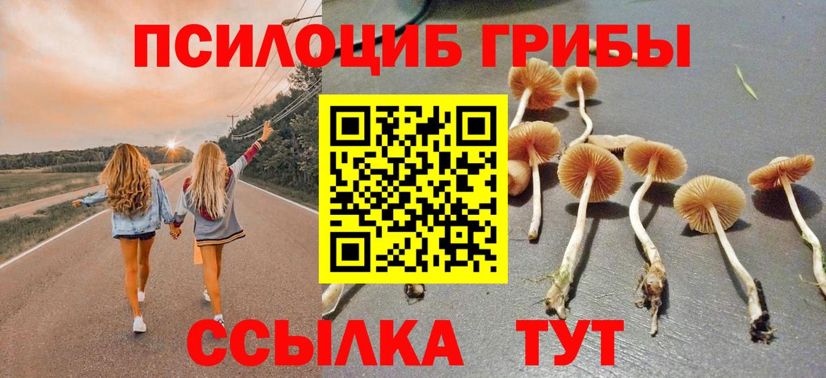 Галлюциногенные грибы мицелий Вольск